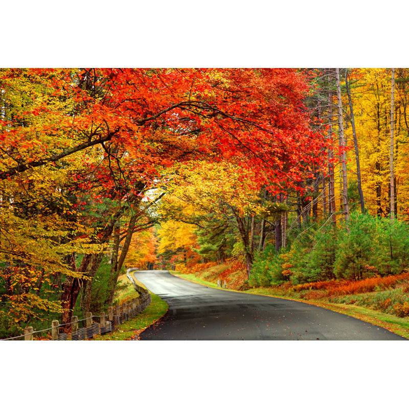 Scenic Autumn Road - Wrapped Canvas Print, 61cm H x 91cm W x 3.8cm