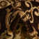 Aracelia Floral Indoor Rug