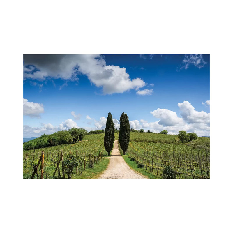 Europe, Italy, Tuscany, Chianti. Vineyard And Cypress Trees. by Jaynes Gallery - Wrapped Canvas Print
