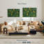 Marijuana