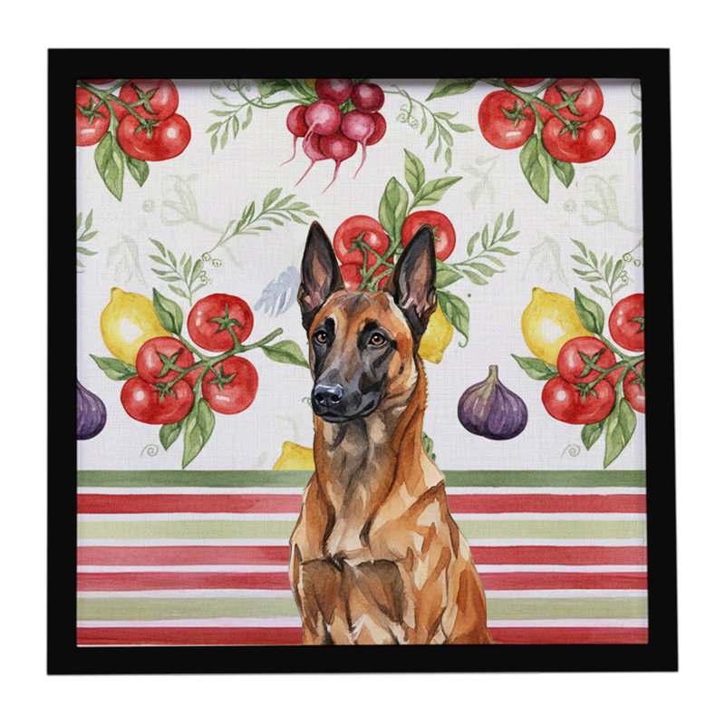 Acajou, belge, malinois, légumes, impression sur métal encadrée