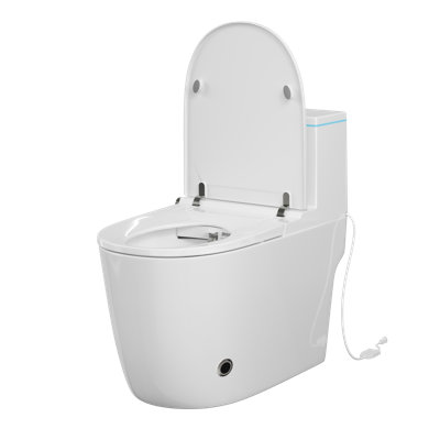 Bidet de toilette intelligent avec lavage arrière et féminin, couvercle automatique, siège chauffant, buse autonettoyante, chasse d'eau en cas de panne de courant, veilleuse et télécommande sans fil