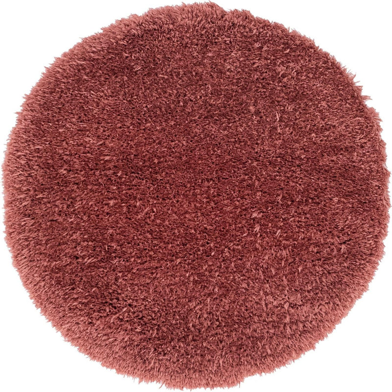 Indoor Rug, Round 4'