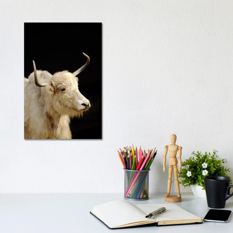 Cow by Goran Anastasovski - Wrapped Canvas Print, 20.32 cm H x 30.48 cm W