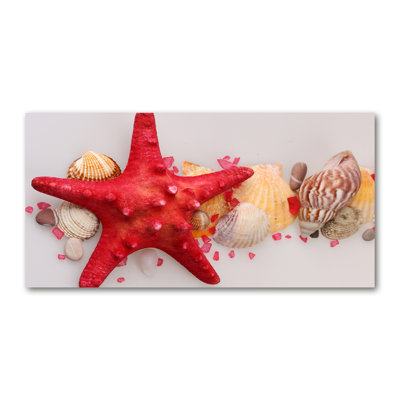 Starfish And Shells - Wrapped Canvas Print
