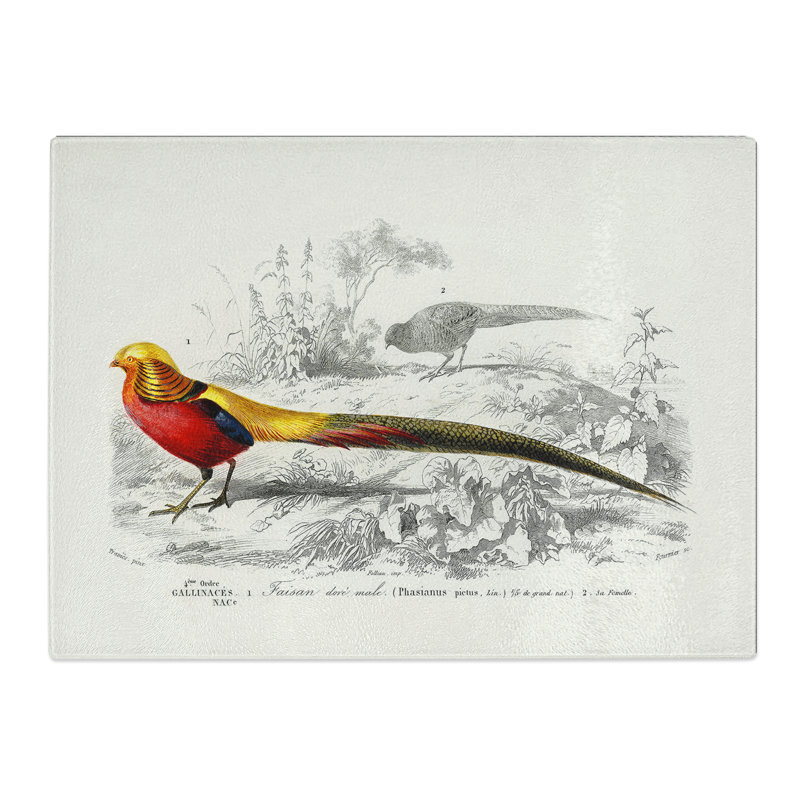 Male Golden Pheasant By Charles D' Orbigny  Glass Chopping Board