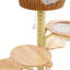 Structure d'escalade simple et tendance