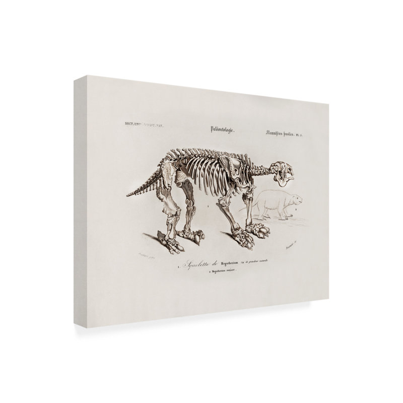 «Charles Dessalines D Megatherium», art sur toile, H 35 po x l 47 po