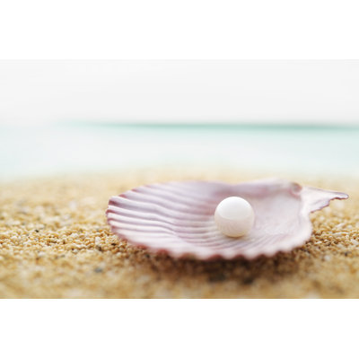 Pearls and seashell 1 Piece Wrapped Canvas Wall Art