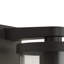 Henbury 29cm H Outdoor Armed Sconce