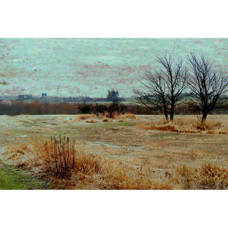 Fields II, H 24 po x l 36 po
