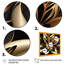Glamourous Lily On Black III - impression sur toile de lis-87348261-87348258