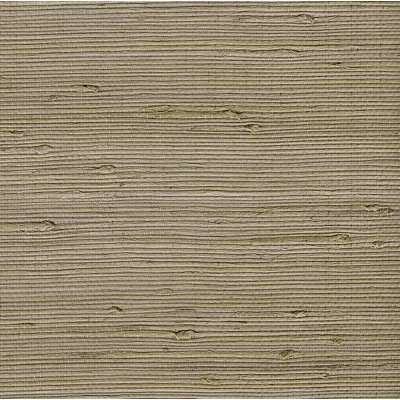 Duplantis Grass Cloth Roll