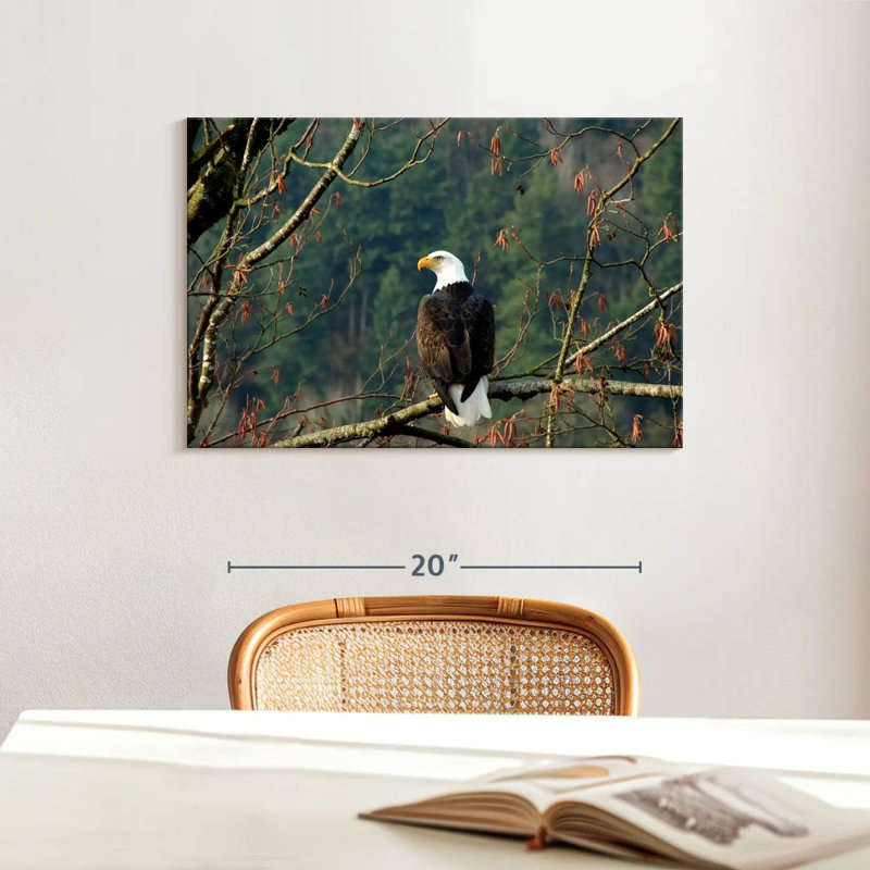 Brampt Perched Canadian Bald Eagle, 16" H x 24" W