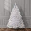 The Holiday Aisle® 6ft. Winchester White Pine Tree with Clear Lights