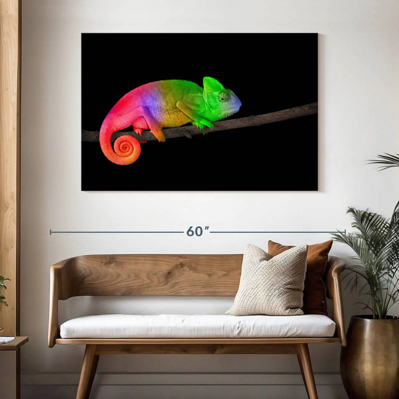 Brampt Color Gradient Chameleon, 32" H x 48" W
