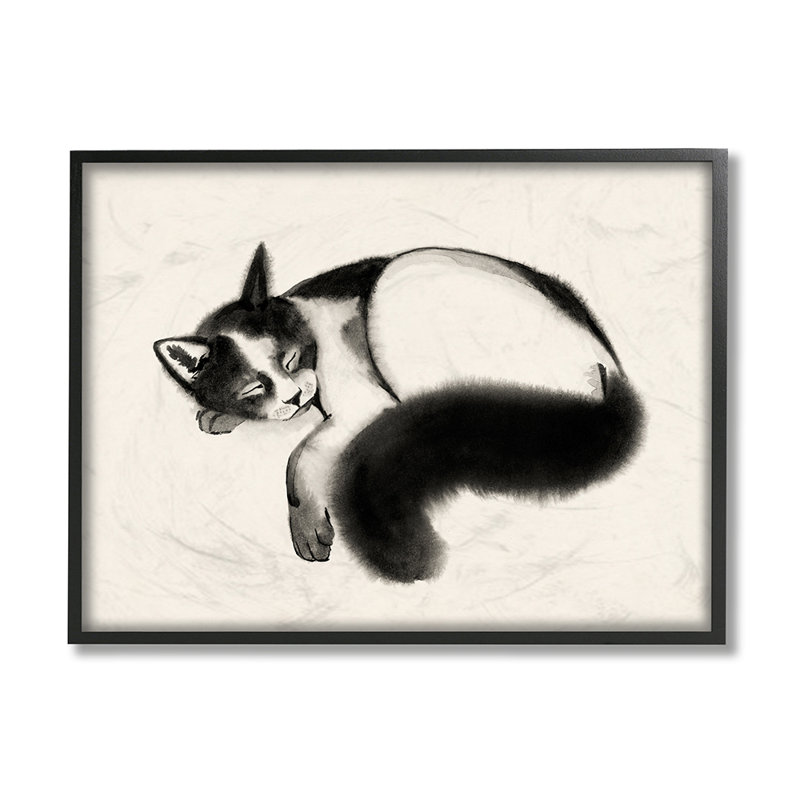 "AC-500" pour chat avec Grace Popp-impression, H 11 po x l 14 po x 1,5 po, Giclée encadrée noir minuit
