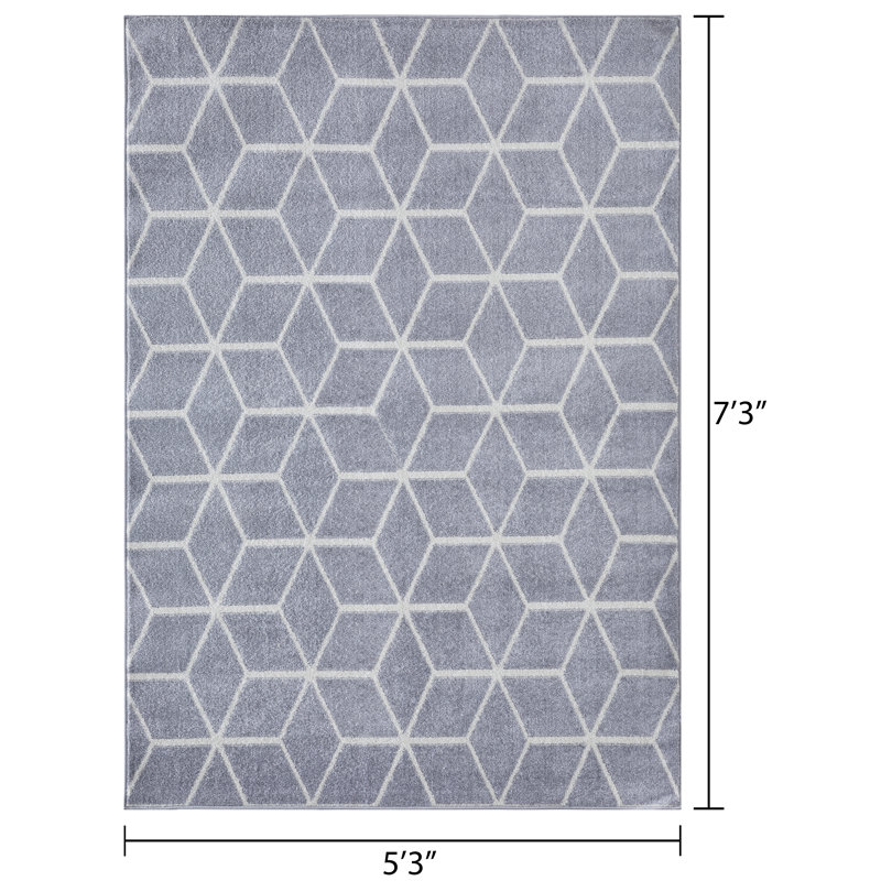 Tapis gris Jakavious Beraddo, Rectangle 5 pi 3 po x 7 pi 3 po