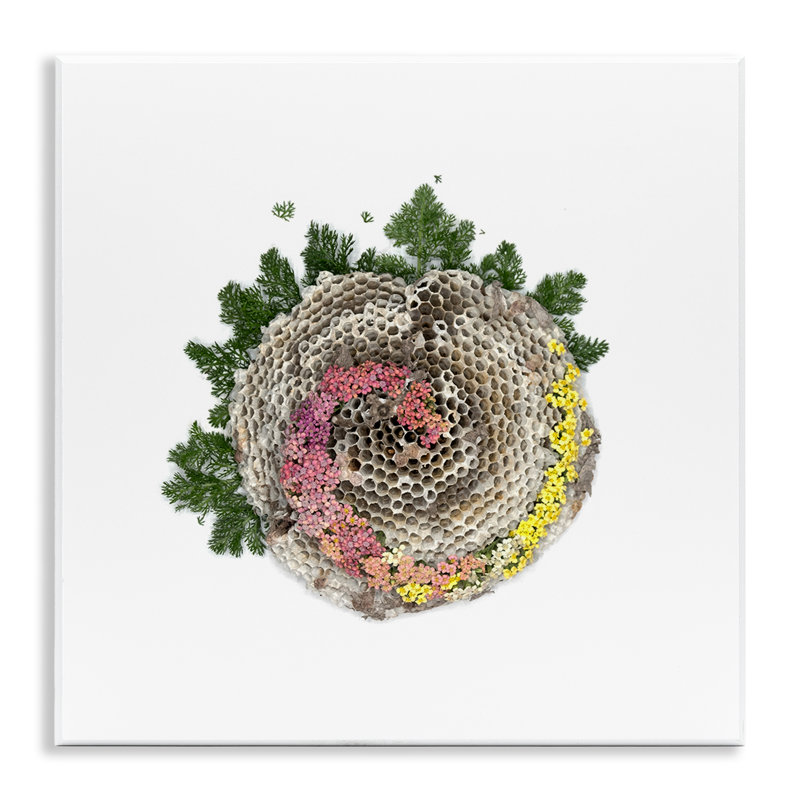 Plaque murale en nid d'abeille avec botanique, design par Beth Adoette