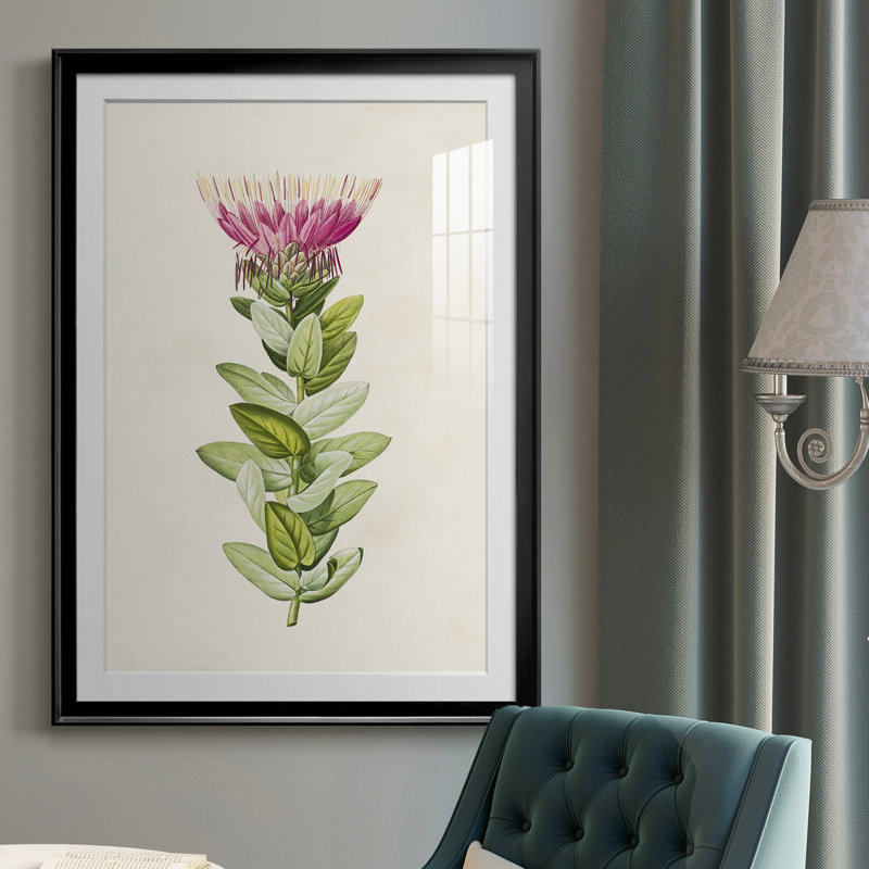 Pretty Pink Botanicals IV - Single Picture Frame Print, 24.5" H x 18.5" W x 1" D, Black
