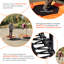 Mini trampoline 50 po avec rebords hexagonaux ajustables Machrus Upper Bounce-433987008