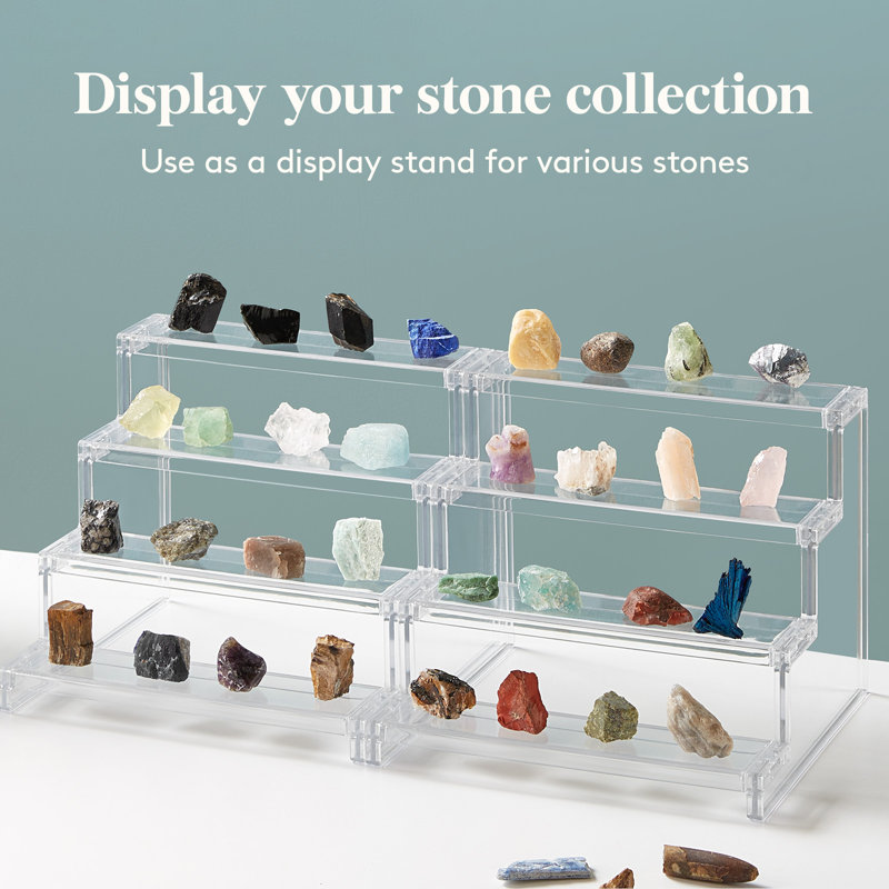 2.36'' H x 8.31'' W Plastic Display Case