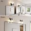 Torbett 2-light bathroom fixture-664169808
