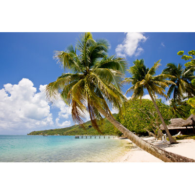 Huahine Island by Mlenny - Wrapped Canvas Print