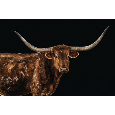 Bigger in Texas by Adam Mowery - Photograph Framed Wall Art