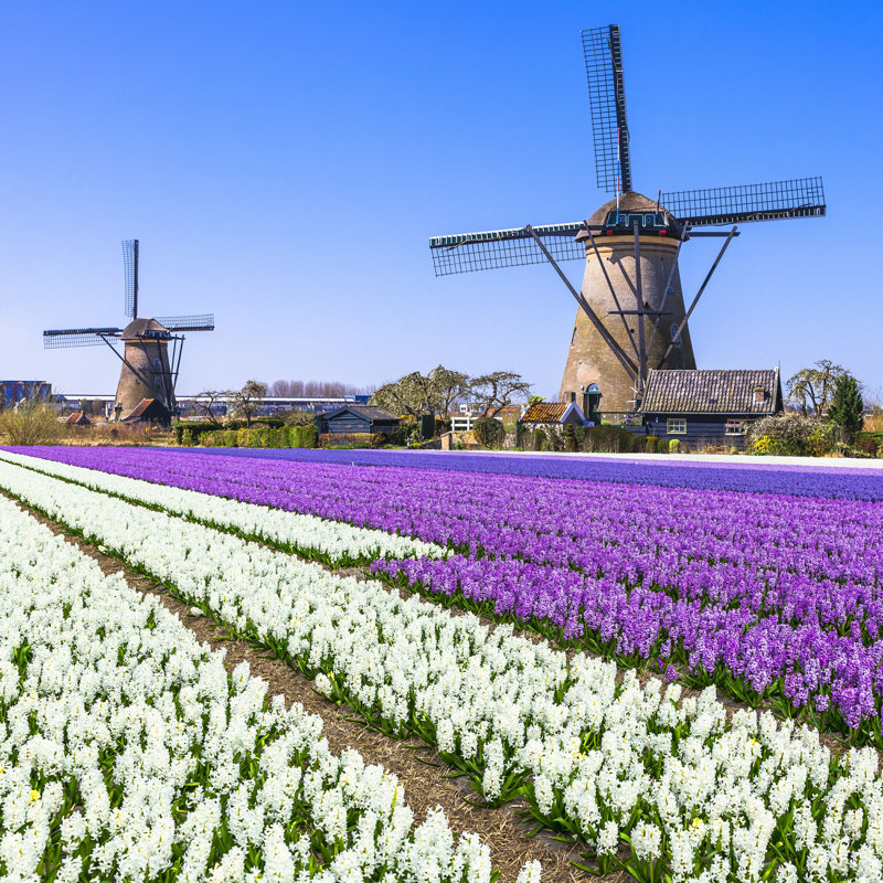 Ayslinn Holland Countryside - Photographie sur toile tendue, H 20 po x l 20 po
