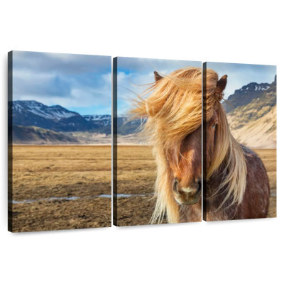 Brampt superbe cheval Islandais
