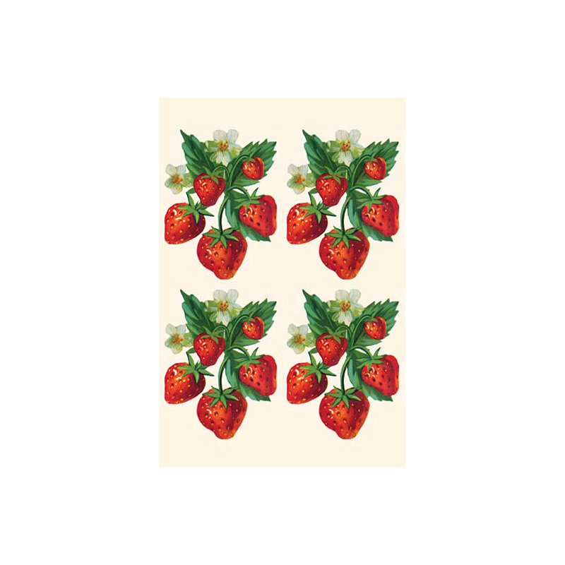 «Four Bunches of Strawberries», impression