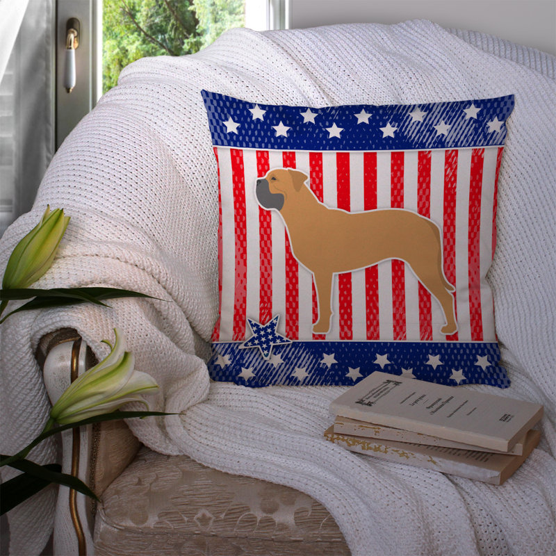 Coussin décoratif intérieur/extérieur patriotique, H 14 po x l 14 po x P 3 po