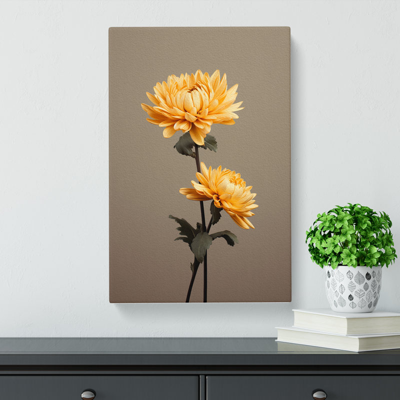 Chrysanthemums Minimalism - Wrapped Canvas, 60cm H x 40cm W x 3cm D