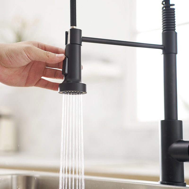 Matte Black Kitchen Faucet With Pull Out , Leak- Assembly, Simple Installation Instructions Stylish Single Handle, Improve Efficiency