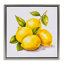 «Lemon Delights Fruit», art mural encadré flottant par Andrea Haase-107183305-111985946
