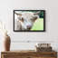 Animal "Vache Highland"-100689170