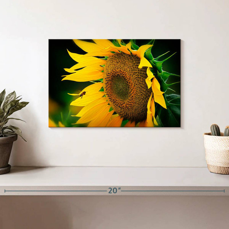 Abeille Harnek attirée par le tournesol, H 8 po x l 12 po