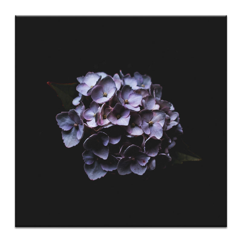 Print on Canvas, 41cm H x 41cm W, Wrapped Canvas