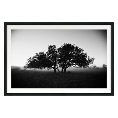 The Black And White Collection " Foggy Morning " by Jean Cornell