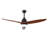 Ceiling Fans With Lights-444852505-444852519-444852512