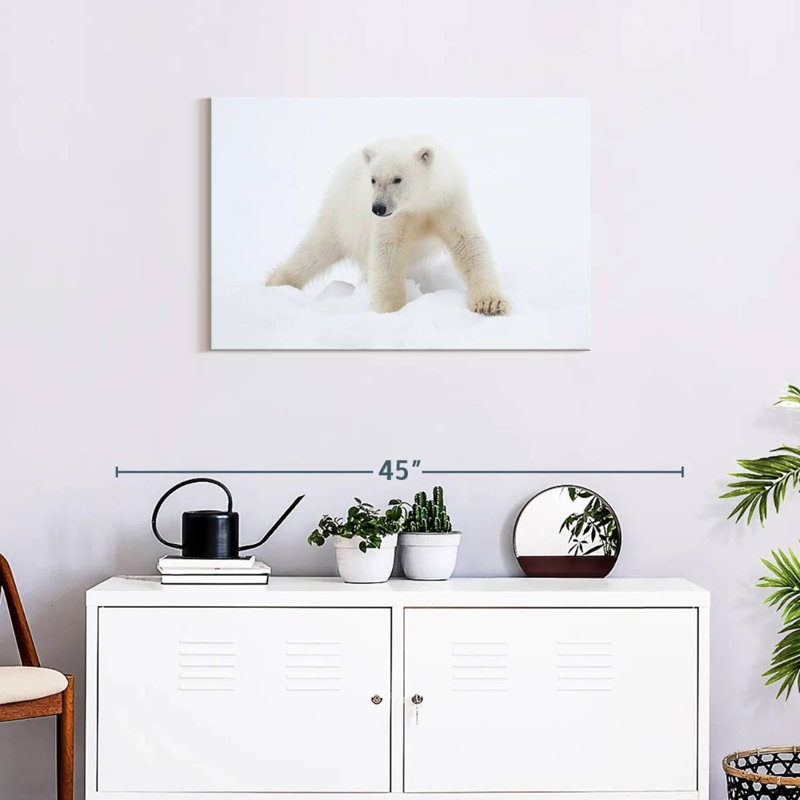 Brampt Juvenile Polar Bear, 20" H x 30" W