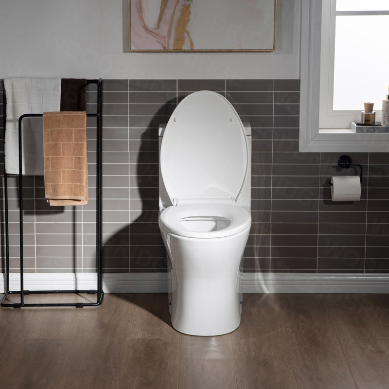 1.28 GPF Elongated One Piece Dual-Flush Toilet with Soft-Closing Seat,MAP Flushing 1000G, White/Brushed Nickel