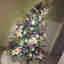 Customer photo 2 of 2