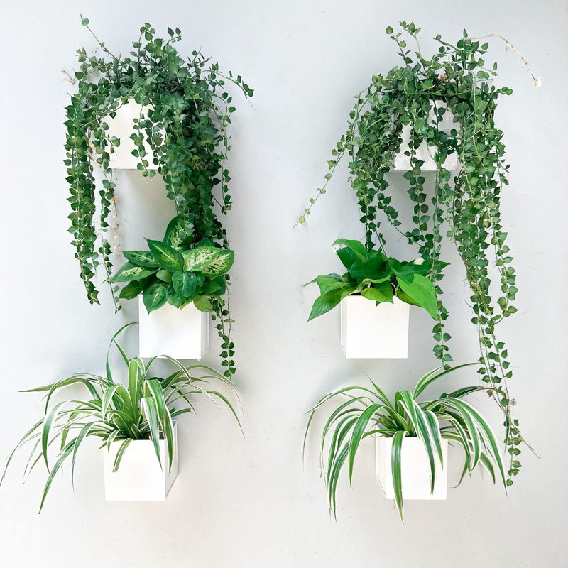 Ensemble de 6 pots de fleurs muraux carrés en métal de 4 pouces pour plantes d'intérieur, petits pots de fleurs muraux blancs décoratifs de jardin