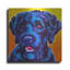 «Chien d'eau portugais - Banques» par Dawg Painter-728464879