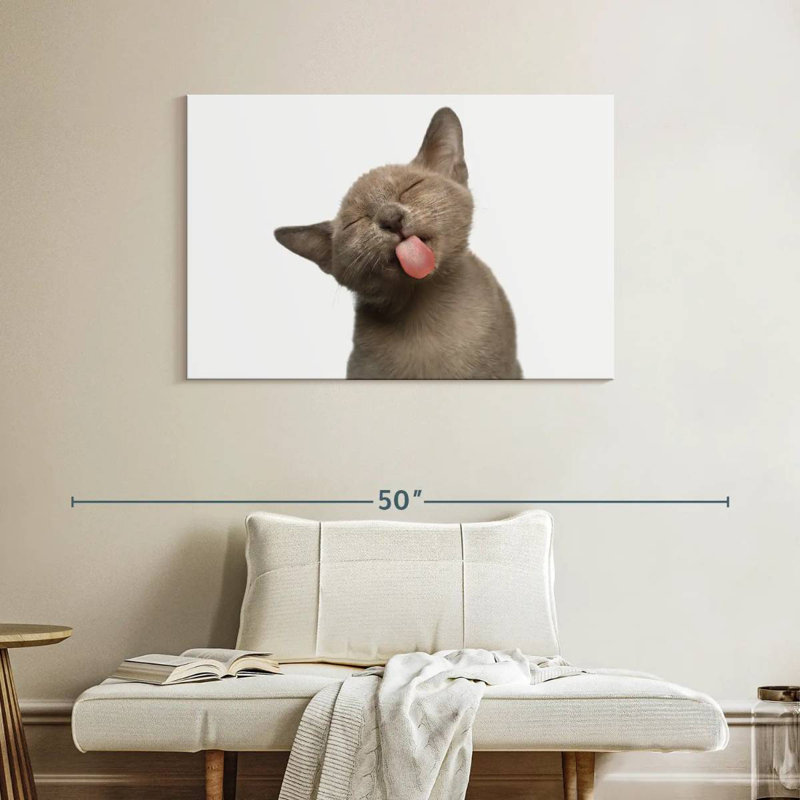 Brampt Cat's Tongue, 26" H x 39" W