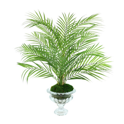 Palm And Moss Arranged In A Clear Glass Bowl Vase