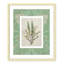 «Jade Botanical II Print» par Carol Robinson-2480770-2480788-2480791