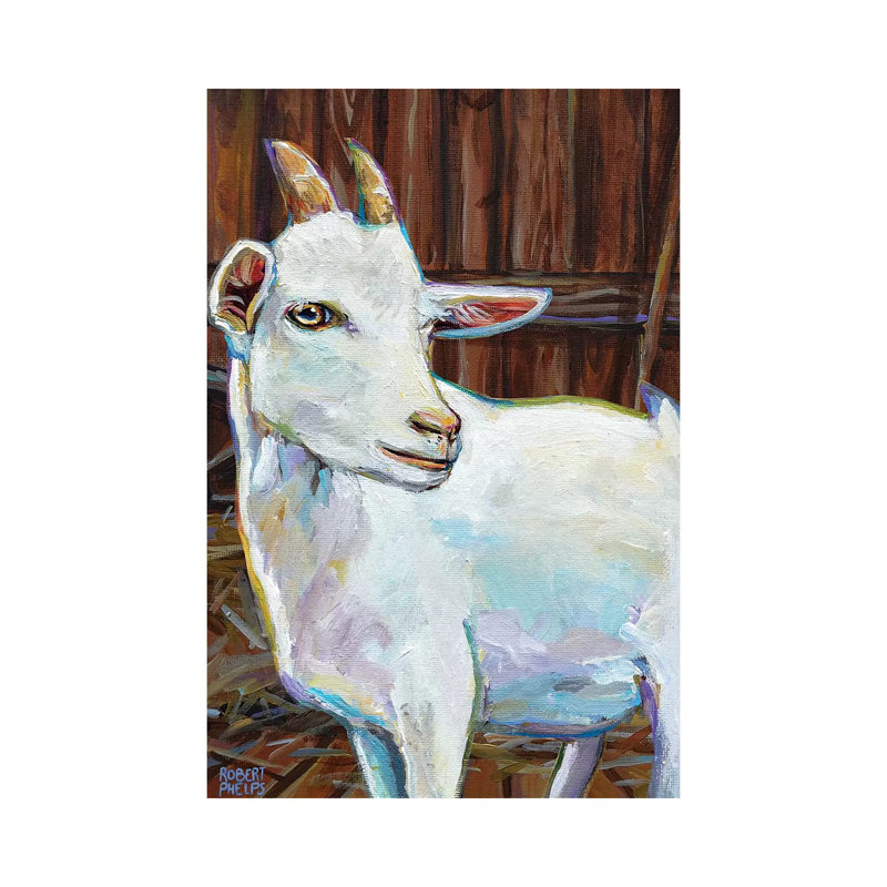 White Goat In Barn by Robert Phelps - Gallery-Wrapped Canvas Giclée on Canvas, 20.32 cm H x 30.48 cm W, Canvas